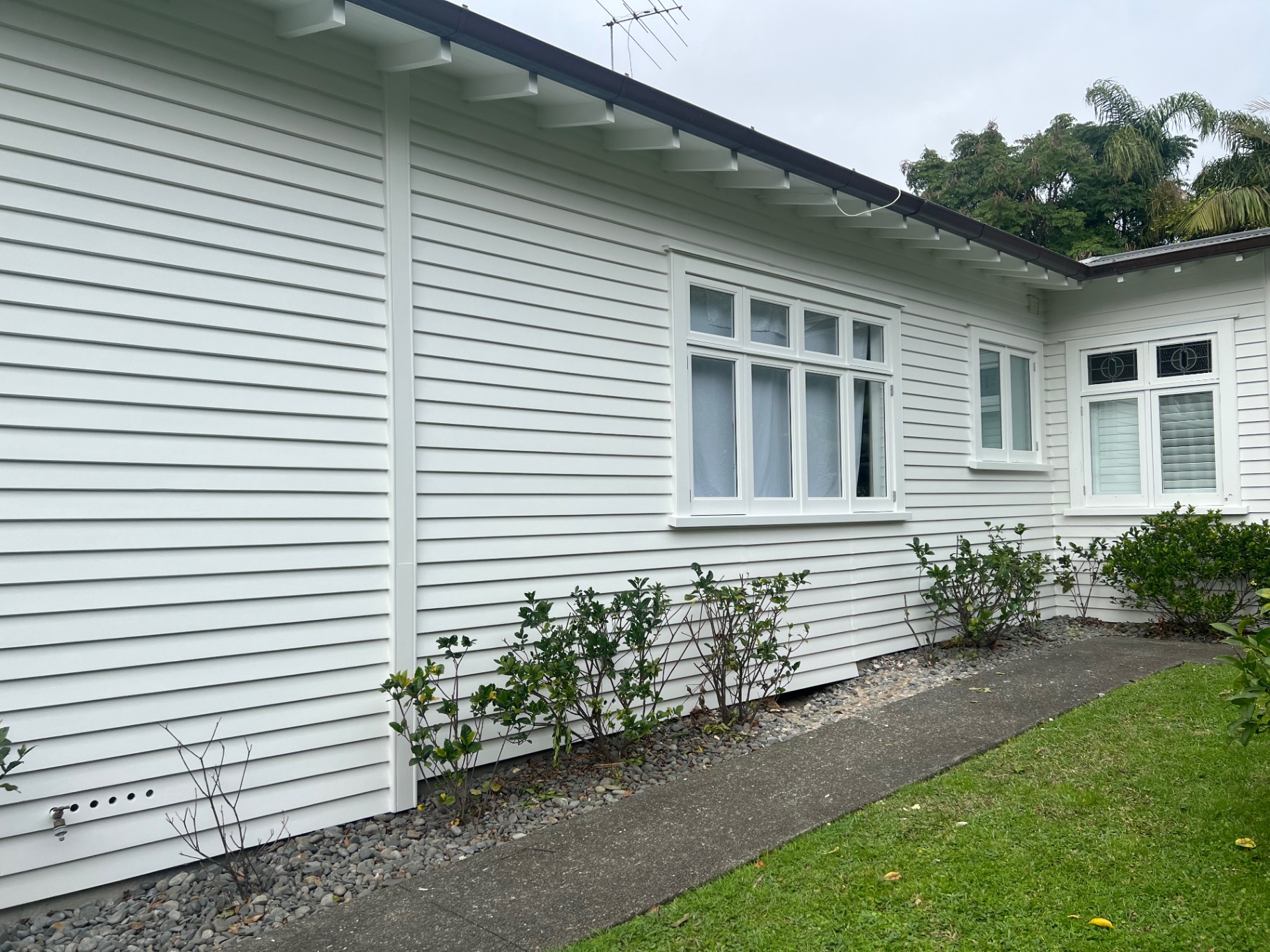 Freshly repainted white weatherboard New Zealand home